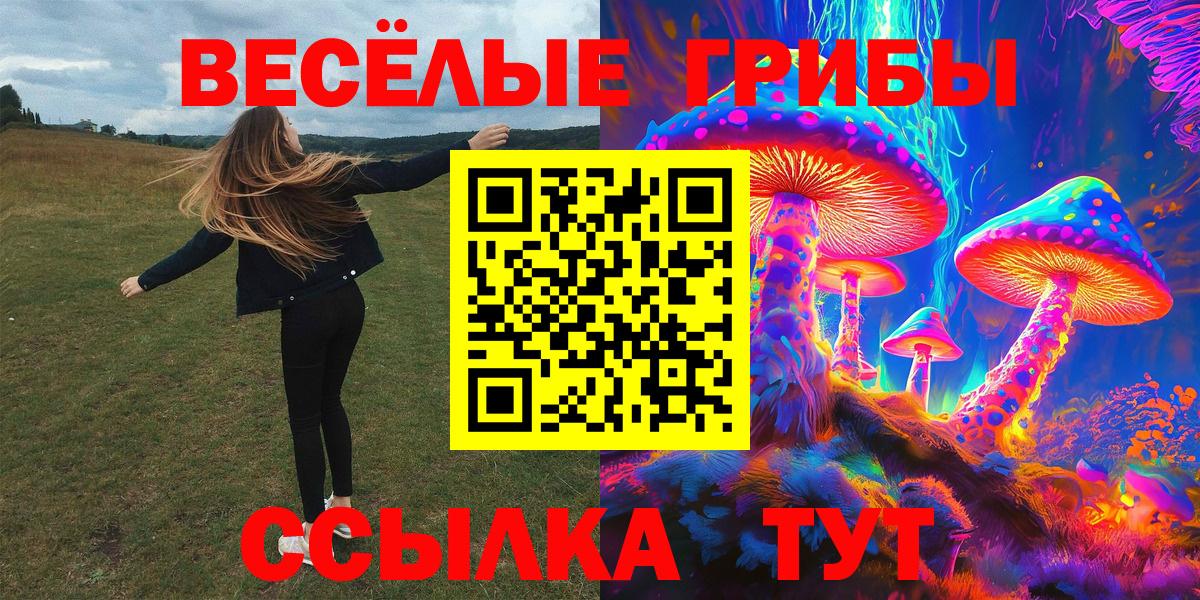 Псилоцибиновые грибы ЛСД  Вход с VPN  Каменск-Шахтинский 